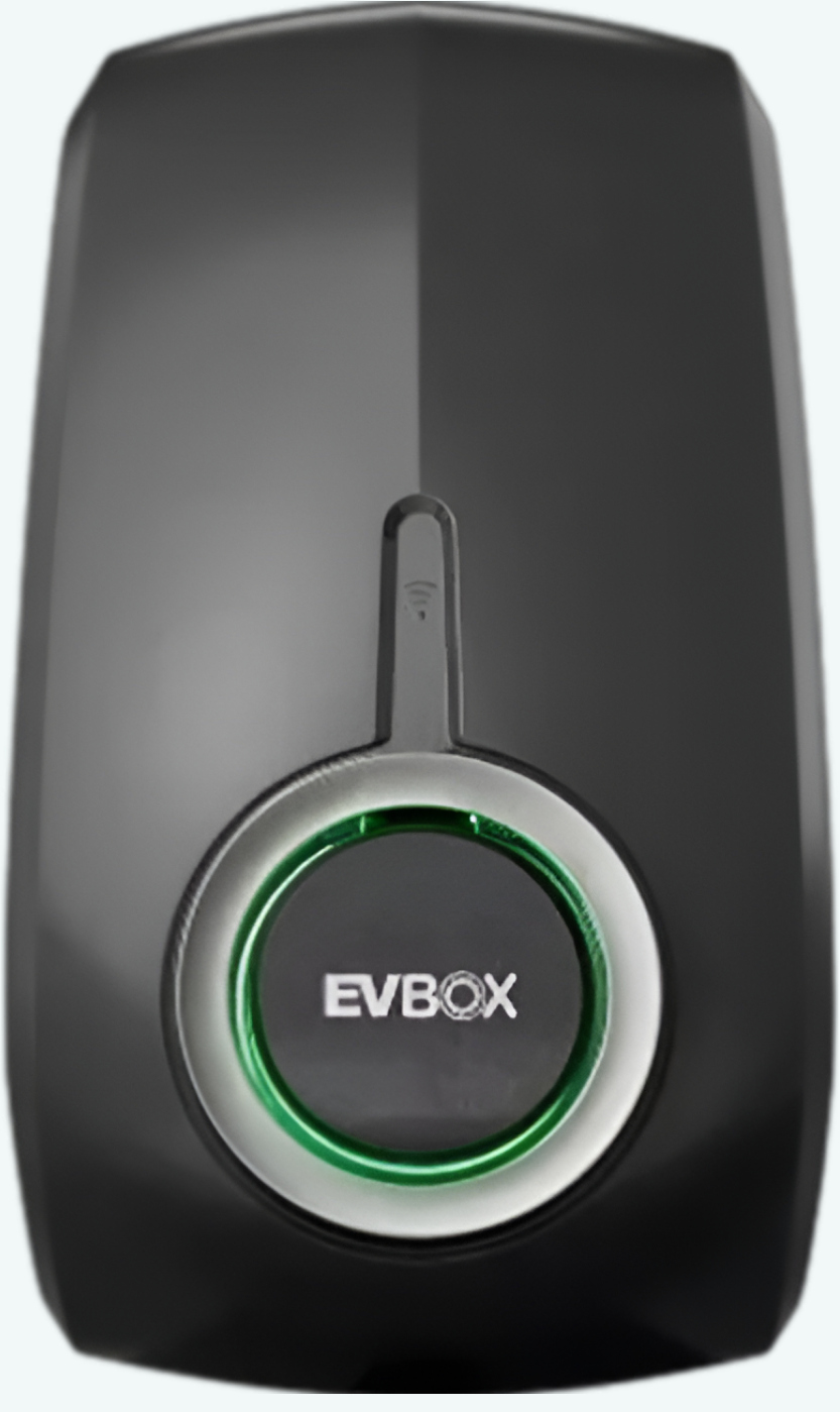 Elvi