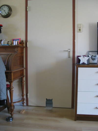 Living room door with cat-shaped opening