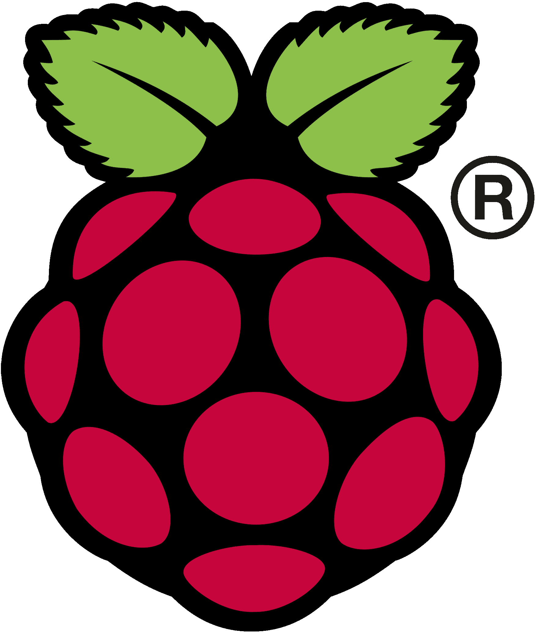 Raspberry Pi logo